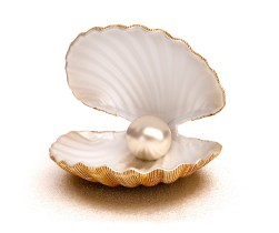 concha_pequeno.jpg